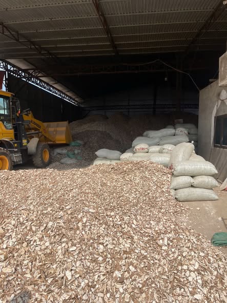Dry Cassava Chips Available